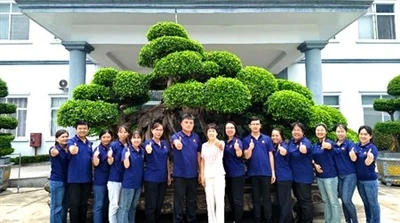CEO Daim Ntawv Txhua Xyoo